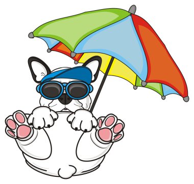 şemsiye ile Fransız buldozer