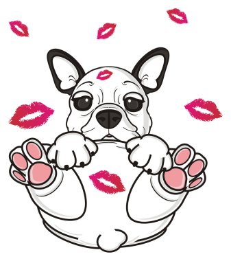 Fransız buldozer ruj