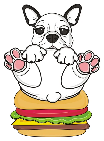 Französische Bulldogge mit Burger — Stockfoto