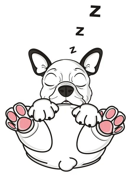 Fransk bulldog sover — Stockfoto