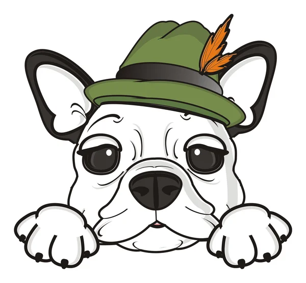 Fransk bulldog i grön hatt — Stockfoto