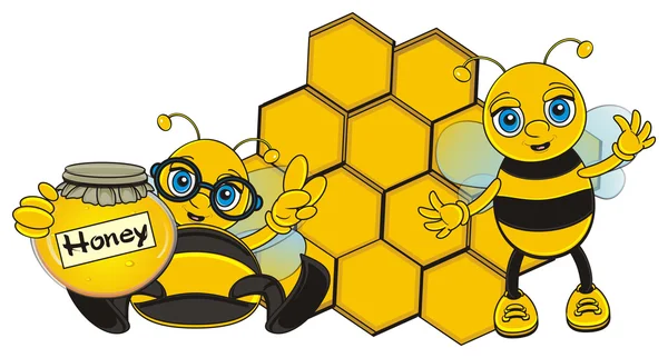 꿀벌의 2 개 쌍 — 스톡 사진