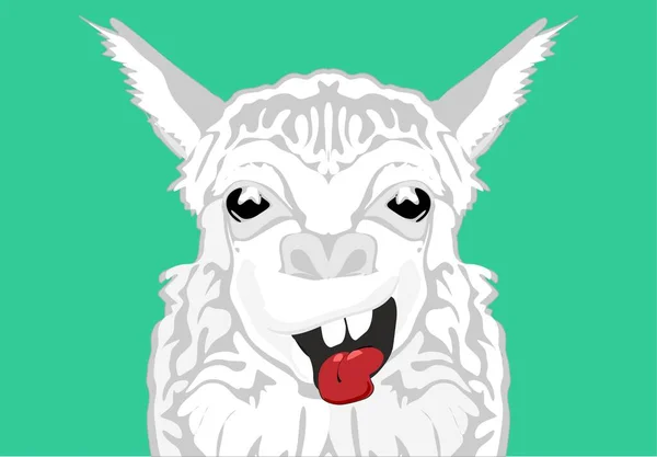 crazy face of llama on green background
