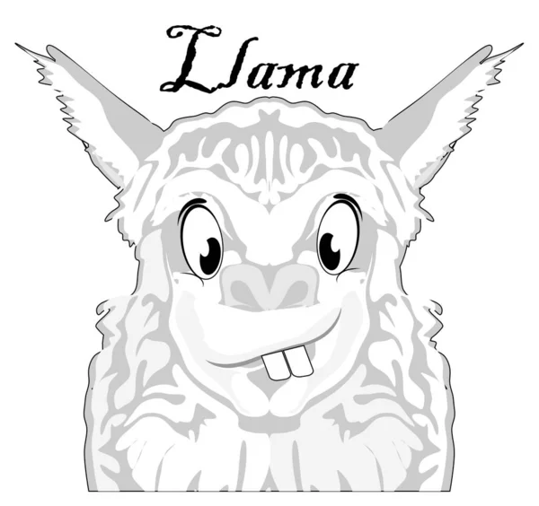 라마의 — 스톡 사진
