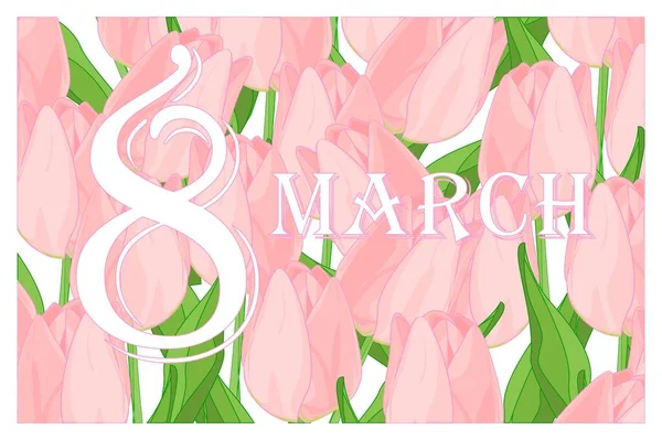 März Und Rosa Tulpen — Stockfoto