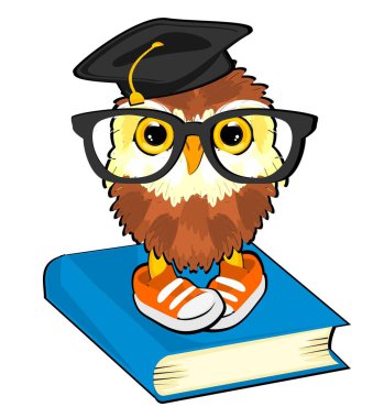 Gözlüklü baykuş ve çalışma kitabı