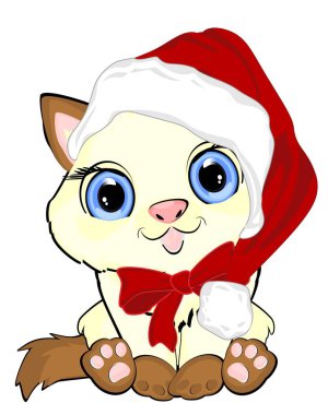 Kırmızı Noel Baba şapkalı şirin beyaz kedi.