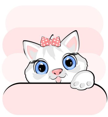 Tatlı beyaz kedinin yüzü