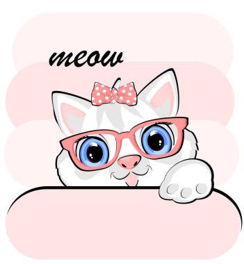 Tatlı beyaz kedinin yüzü