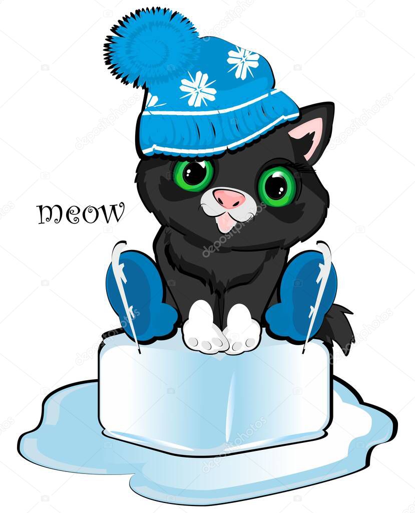 Cute black cat ready to ski