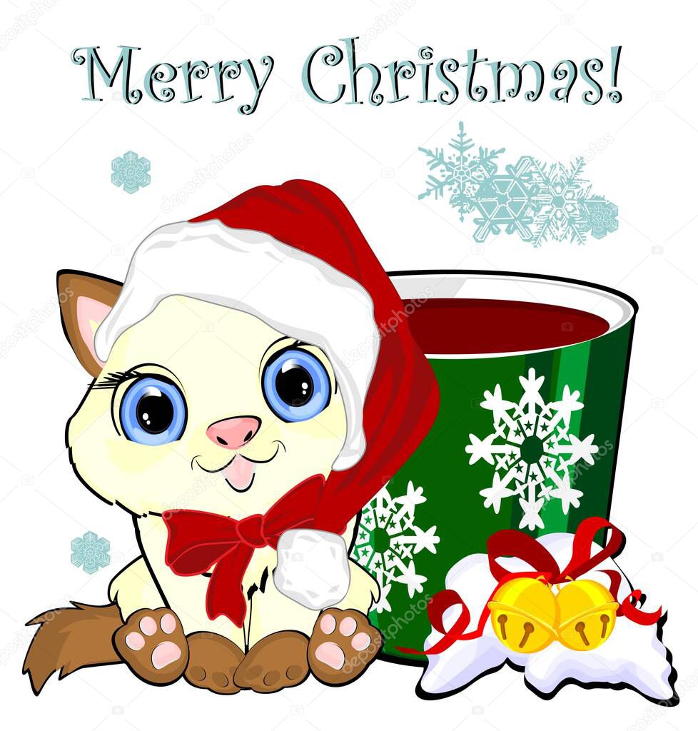 Cute white cat and christmas