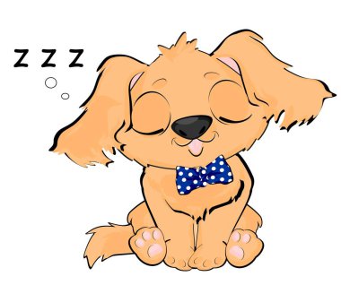 Şirin köpek yavrusu ve z harfi 