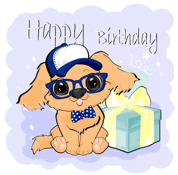 Cute Little Puppy Bday — Stock Photo, Image
