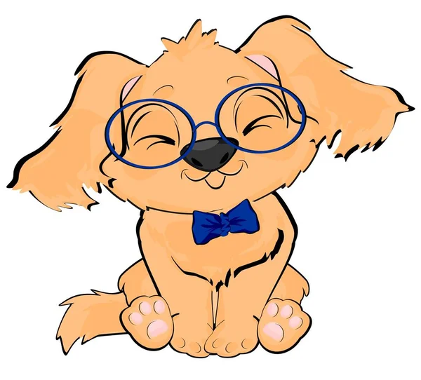 Cute Little Puppy Boy Glasses — Stock Photo, Image