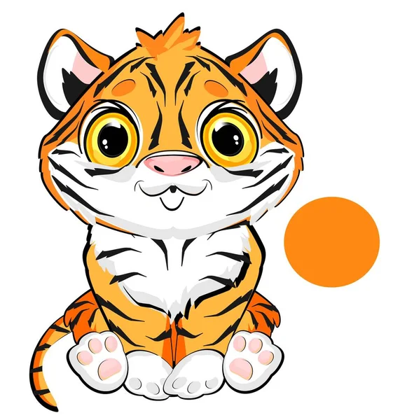 주황색 호랑이와 주황색 — 스톡 사진