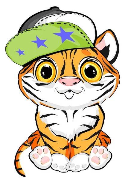 Menino Tigre Com Chapéu Colorido Moda — Fotografia de Stock