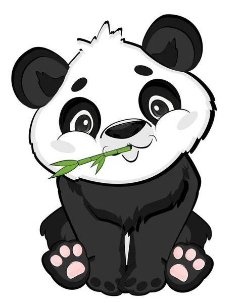 Panda Sentar Comer Bambu — Fotografia de Stock