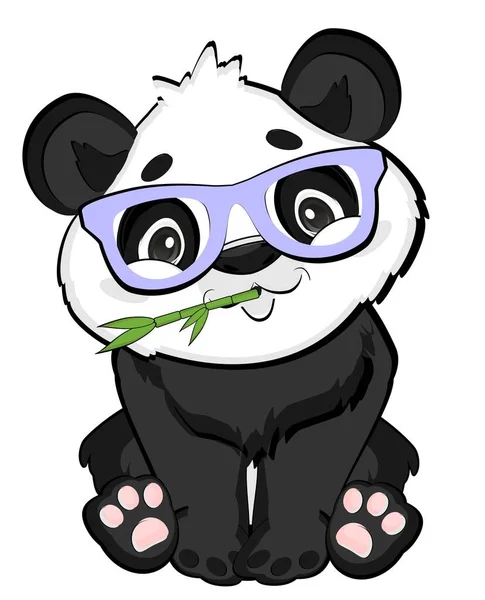 Divertente Panda Con Cappello Blu Marino — Foto Stock