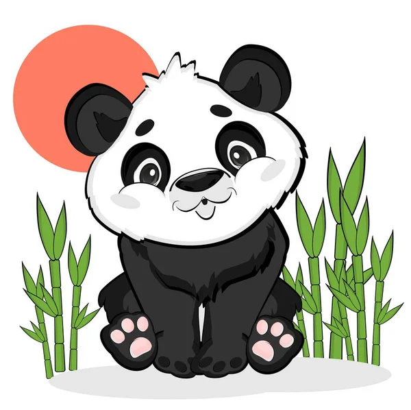Panda Avec Soleil Rouge Bambou — Photo