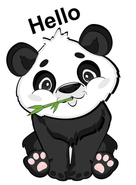 Panda Eat Bamboo Say Hello — Stock Photo, Image