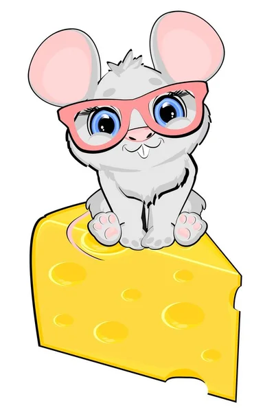 Muis Bril Zitten Top Cheesse — Stockfoto