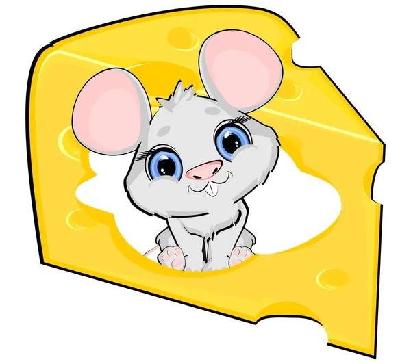 Μικρό Γκρίζο Ποντίκι Και Κίτρινο Τυρί — Φωτογραφία Αρχείου