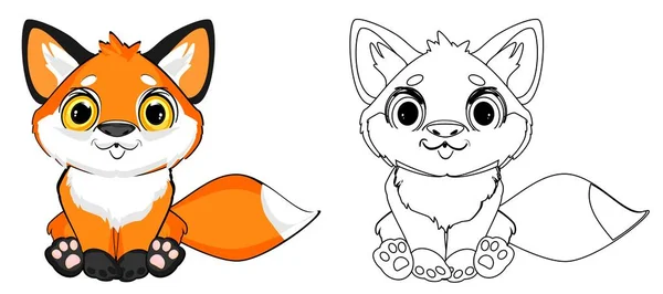 Coloring Fox Orange Fox — Stock Photo, Image