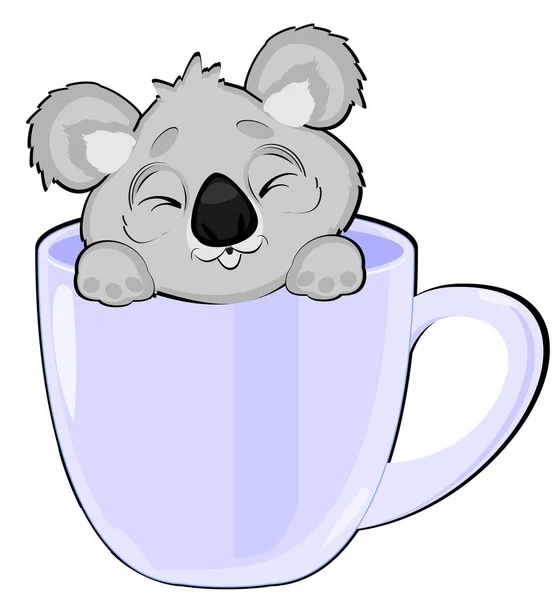 Sömnig Koala Inne Koppen — Stockfoto