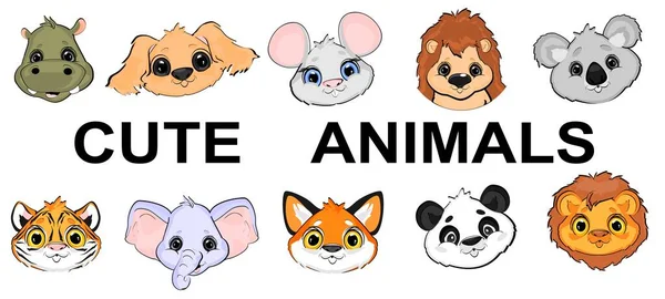 Ten Maks Cute Animals — 图库照片