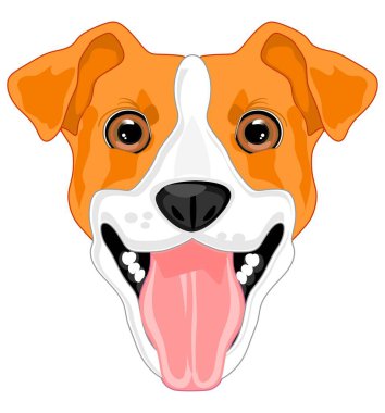 Jack Russell Terrier 'in Burnu