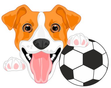 Jack Russell Terrier ve futbol