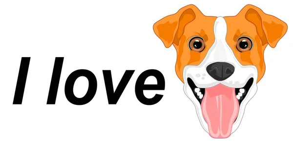 Kocham Jacka Russella Terriera — Zdjęcie stockowe