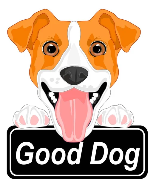 Jack Russell Terrier Med Banner — Stockfoto