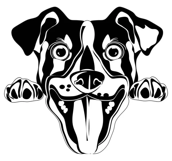 Black White Jack Russell Terrier Cartoon — Stock Photo, Image