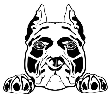 Pençeli personelin yüzü