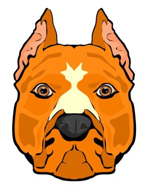 Beyaz arkaplandaki ampersonelin yüzü