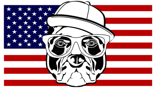Face Amstaff American Flag — Stock Photo, Image