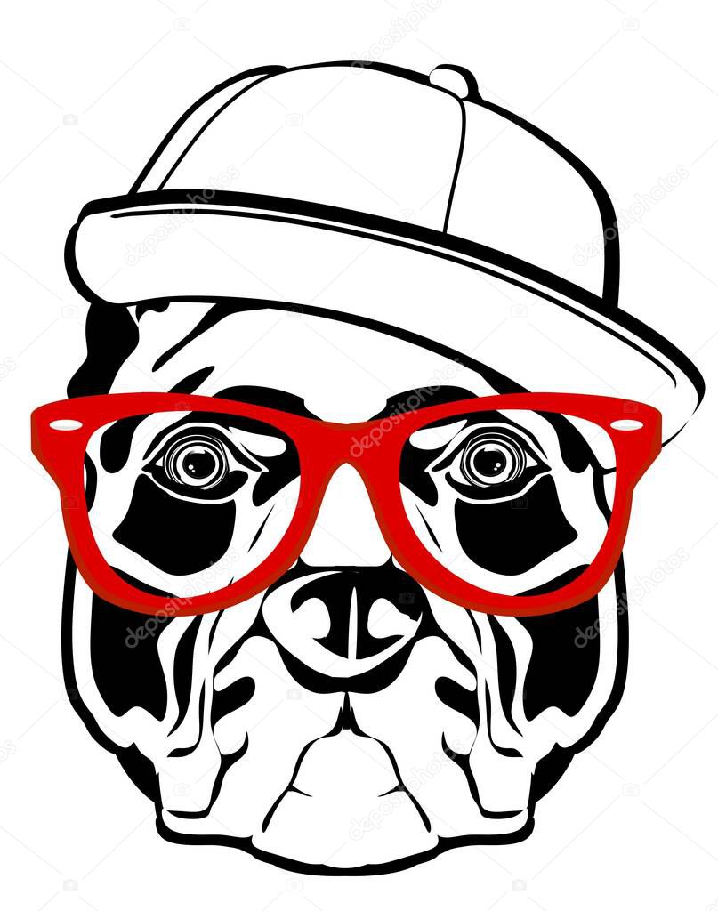 face of amstaff with red glasses and cap