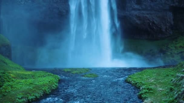Vista incrível da cachoeira preta de basalto com céu azul e grama verde. Skaftafell. — Vídeo de Stock