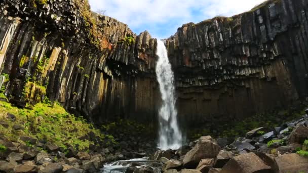 Increíble vista de la cascada de Basalto Negro con cielo azul y hierba verde. Skaftafell. — Vídeo de stock