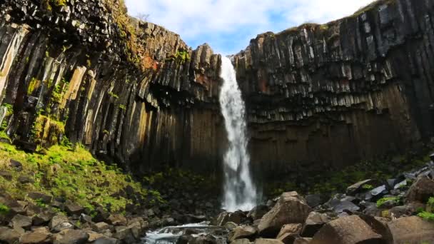 Vista incrível da cachoeira preta de basalto com céu azul e grama verde. Skaftafell. — Vídeo de Stock