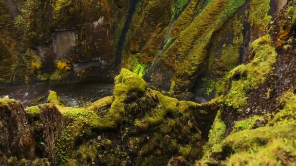 壮大な峡谷の滝と川の端に無人空中映像。Fjadrargljufur — ストック動画