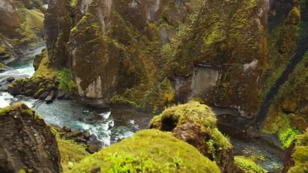 通过绿色山河峡谷的鸟瞰图 — 图库视频影像
