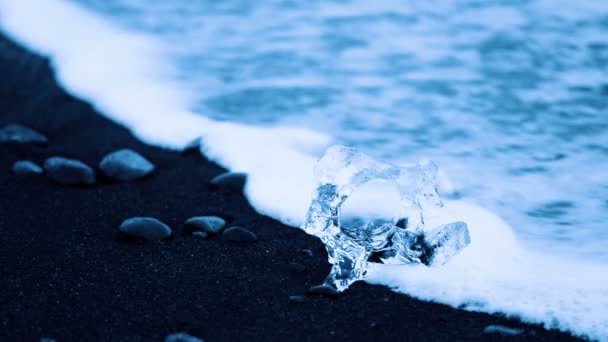 黒い火山砂のビーチで小さな氷山 — ストック動画