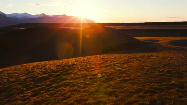 Luchtfoto van zonsopgang van gouden veld — Stockvideo