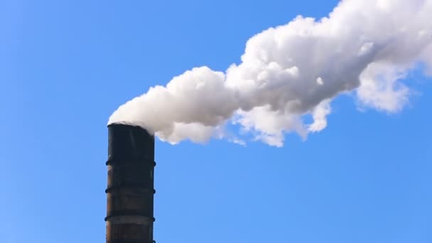 Zanieczyszczających fabryka emitujących brudne dymu — Wideo stockowe
