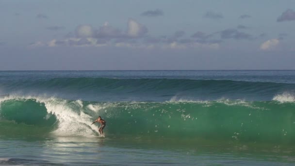 Shorebreak серфер — стоковое видео