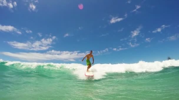 Longboard-Surfer. — Stockvideo