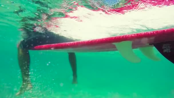 Debajo de Longboarder Surf — Vídeos de Stock
