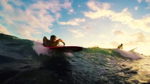 Goilden zachód słońca Surfing — Wideo stockowe